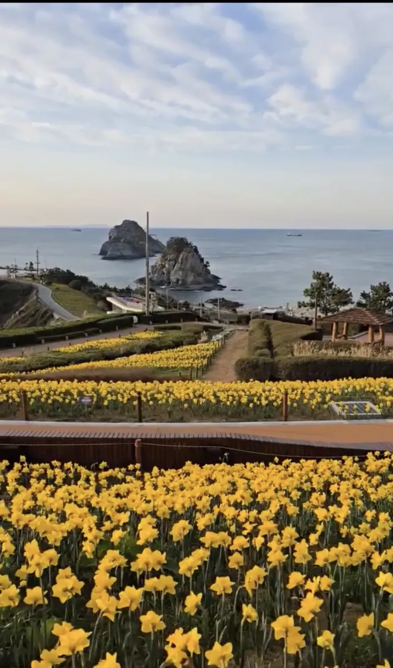 [Nam-gu, Busan] Sanbada Oryukdo #45 Pyeong Apartment, 1st Floor, Oryukdo View 18