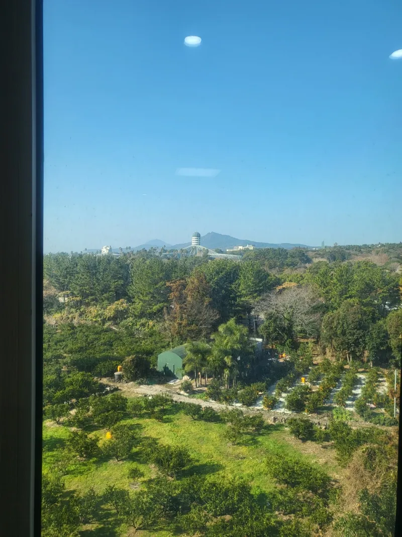[서귀포 중문동] 제주 서귀포 중문 노을 맛집 오션뷰 한달살이 서핑 풀옵션 뚜벅이 올레길 22