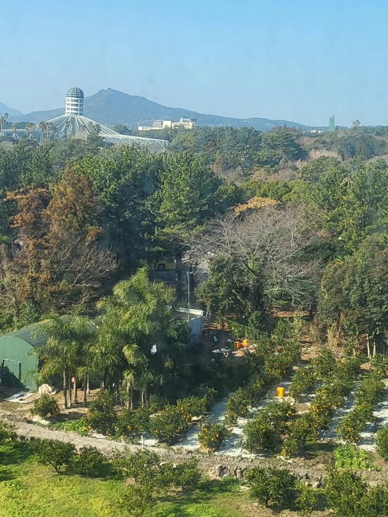 [서귀포 중문동] 제주 서귀포 중문 노을 맛집 오션뷰 한달살이 서핑 풀옵션 뚜벅이 올레길 42