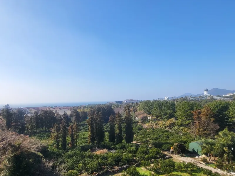 [서귀포 중문동] 제주 서귀포 중문 노을 맛집 오션뷰 한달살이 서핑 풀옵션 뚜벅이 올레길 24