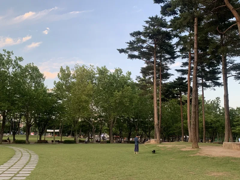 [Suseong, Daegu] Quiet and clean house 18