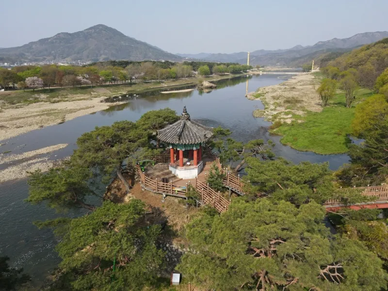 [충북 영동] 금강 굽이쳬흐르는 곳에 아름들이 솔밭과 올래길이 있는곳 22