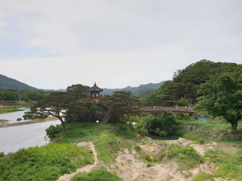 [충북 영동] 금강 굽이쳬흐르는 곳에 아름들이 솔밭과 올래길이 있는곳 13