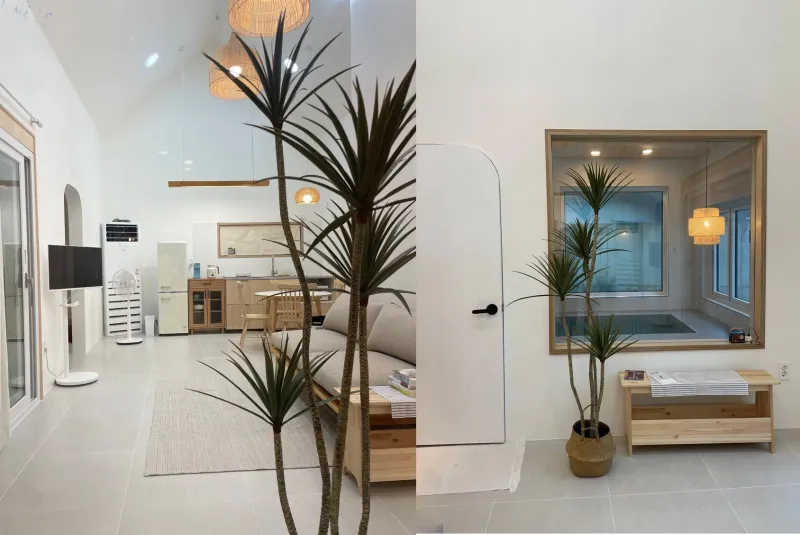 [Daejeong, Seogwipo] A completely private house with a yard all to itself, a green jacuzzi, and a private rabbit. 15