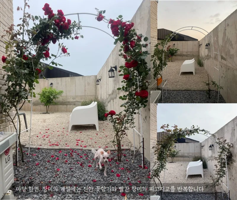 [Daejeong, Seogwipo] A completely private house with a yard all to itself, a green jacuzzi, and a private rabbit. 28