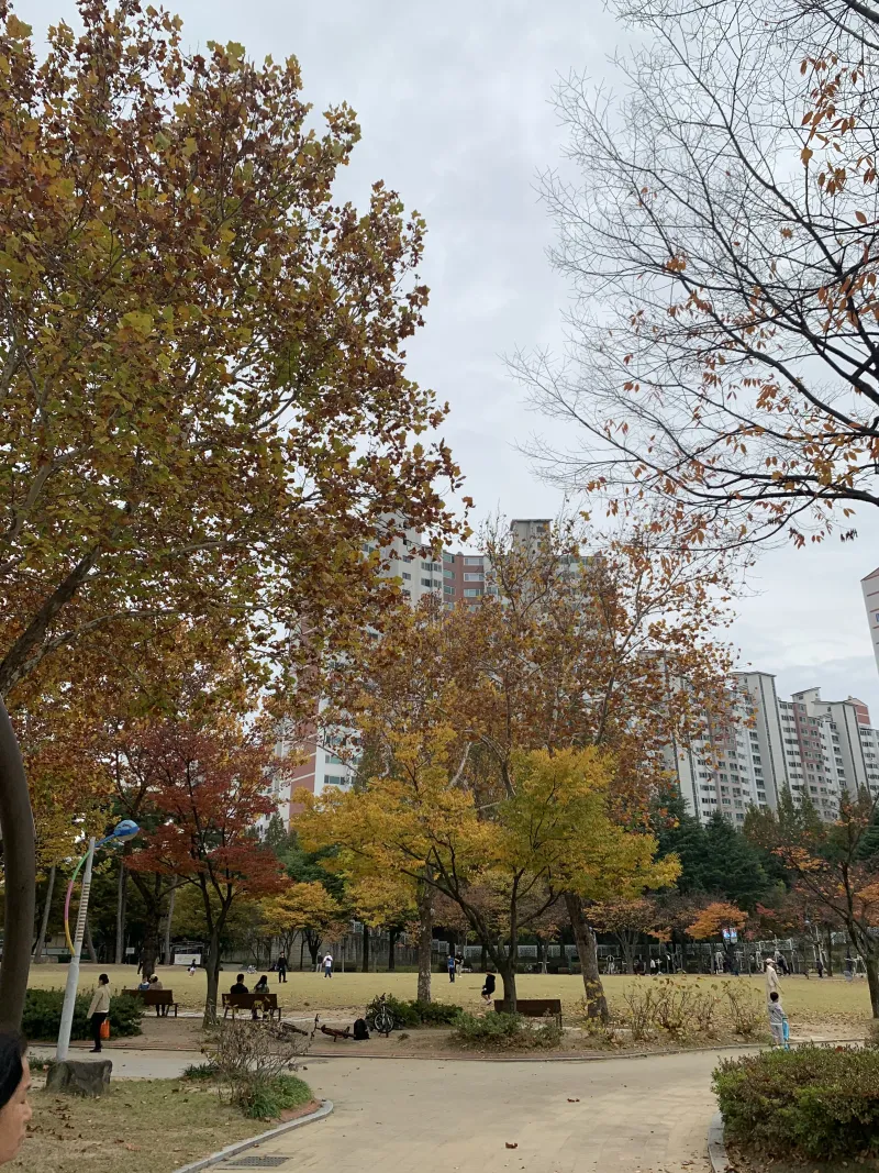 [Suseong, Daegu] Quiet and clean house 22