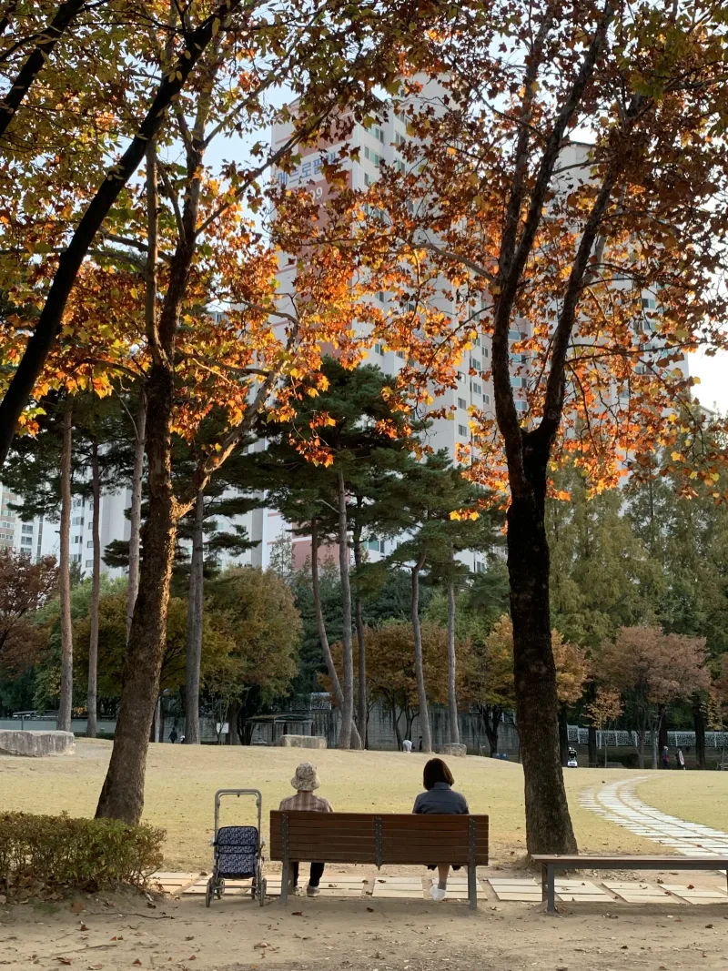[Suseong, Daegu] Quiet and clean house 20