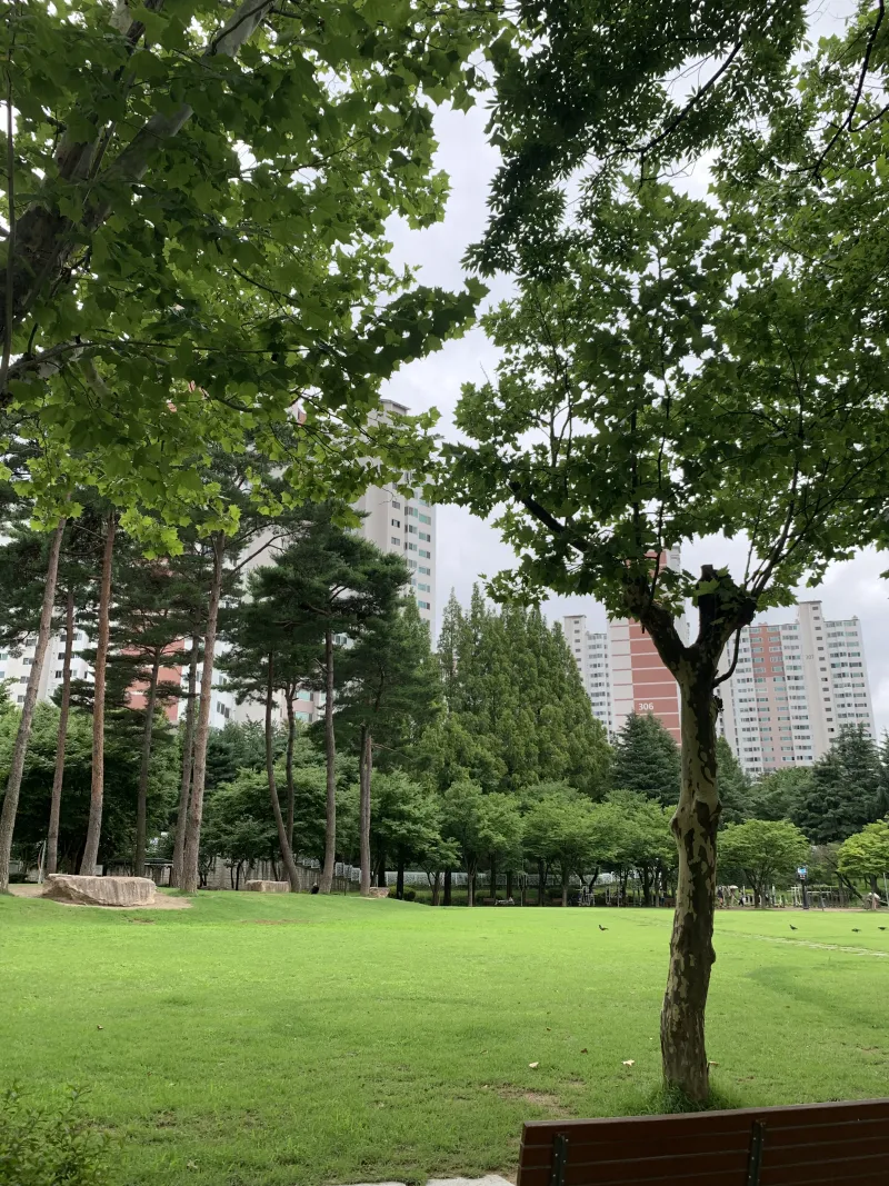 [Suseong, Daegu] Quiet and clean house 23