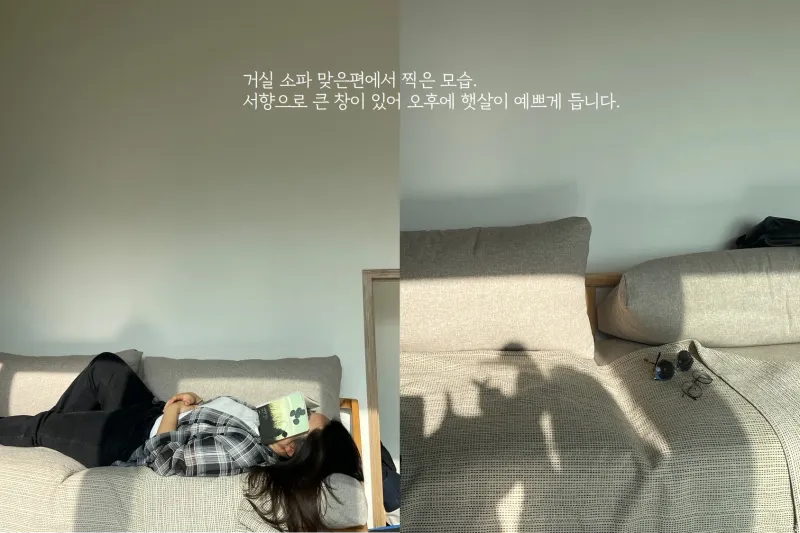 [Daejeong, Seogwipo] A completely private house with a yard all to itself, a green jacuzzi, and a private rabbit. 16