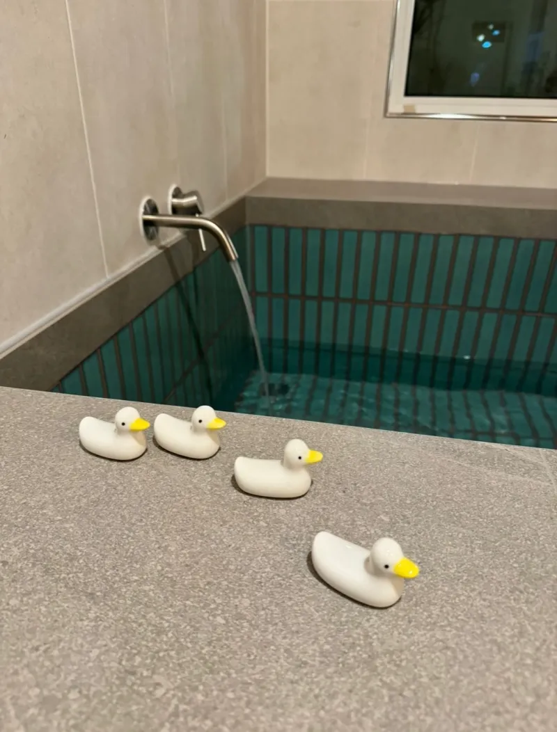 [Daejeong, Seogwipo] A completely private house with a yard all to itself, a green jacuzzi, and a private rabbit. 11