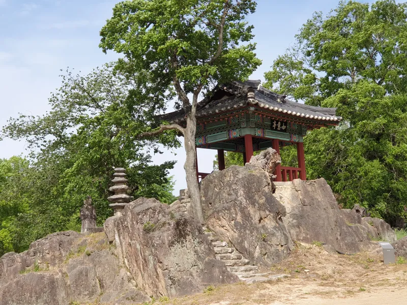 [충북 영동] 금강 굽이쳬흐르는 곳에 아름들이 솔밭과 올래길이 있는곳 25