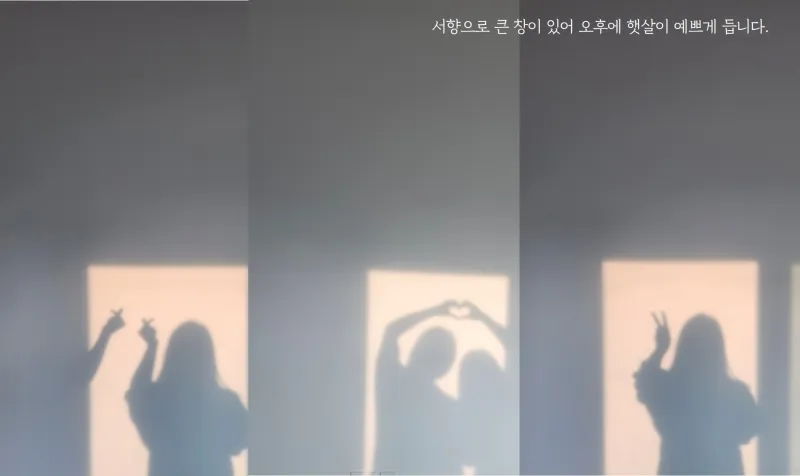 [Daejeong, Seogwipo] A completely private house with a yard all to itself, a green jacuzzi, and a private rabbit. 17