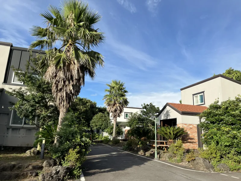 [Gujwa, Jeju] A healing trip to the east of Jeju! 40