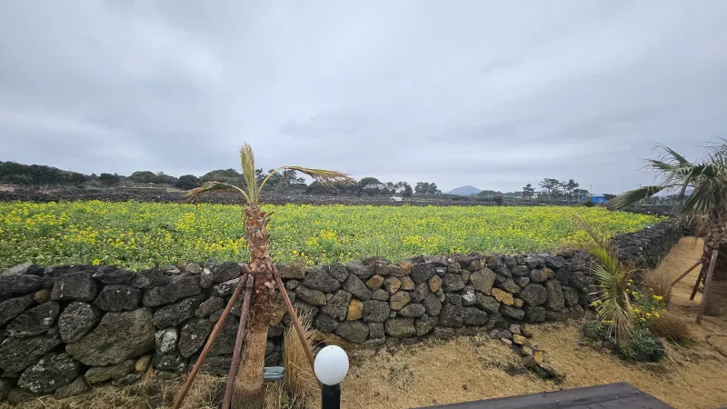 [Gujwa, Jeju] A detached house with a beautiful view of the sea, stone walls, and fields, 30 seconds from the entrance to the complex. 103