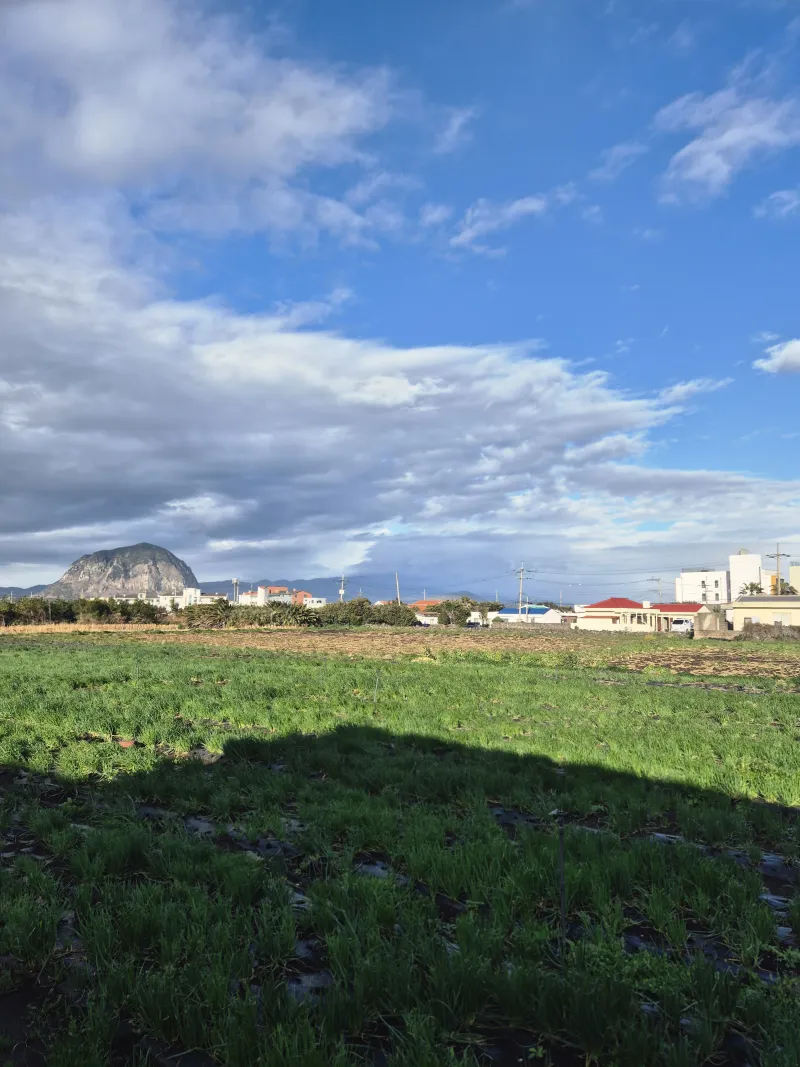 [Daejeong, Seogwipo] West / 1-minute walk to Songaksan Mountain and Sagyebada, Sentimental Private House (Main House) 18