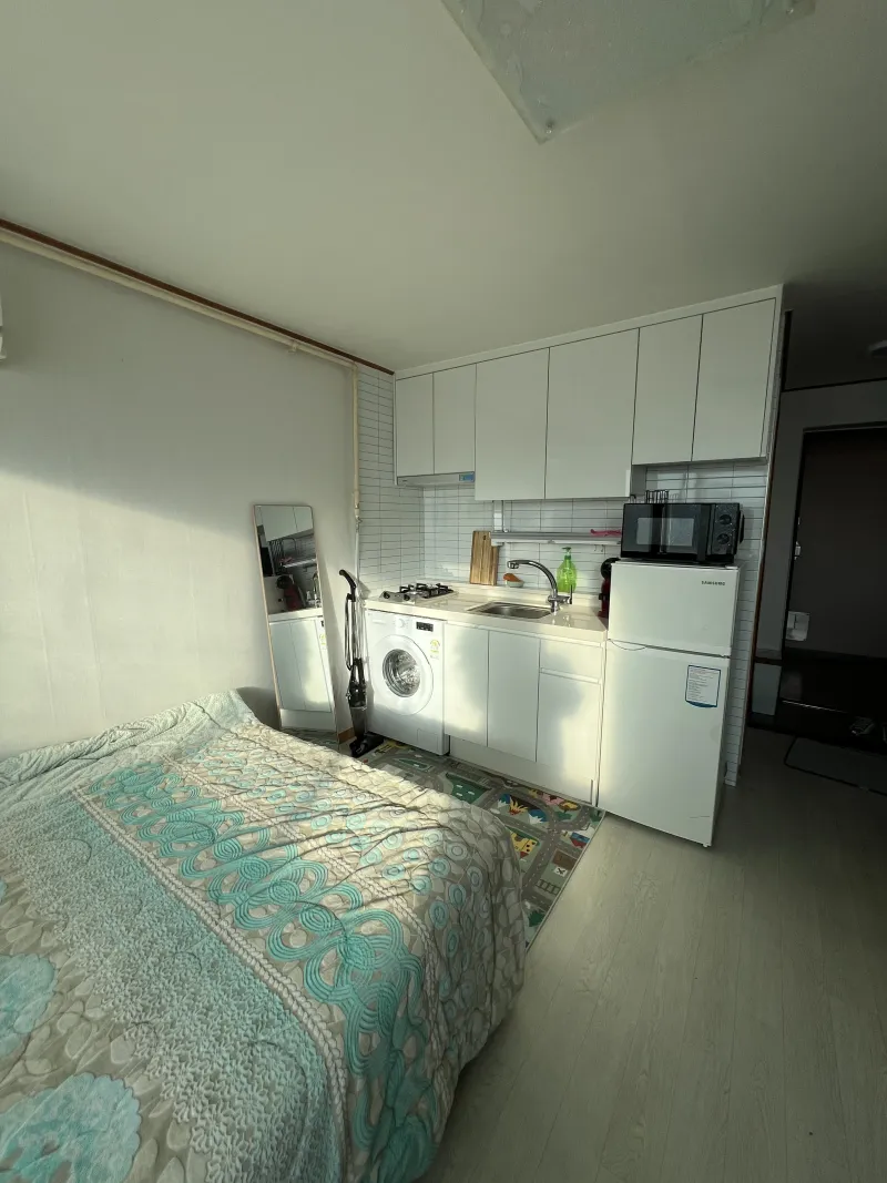 [Mapo, Seoul] November 25th Remodeling - Pets Allowed at Mangwon Station 2