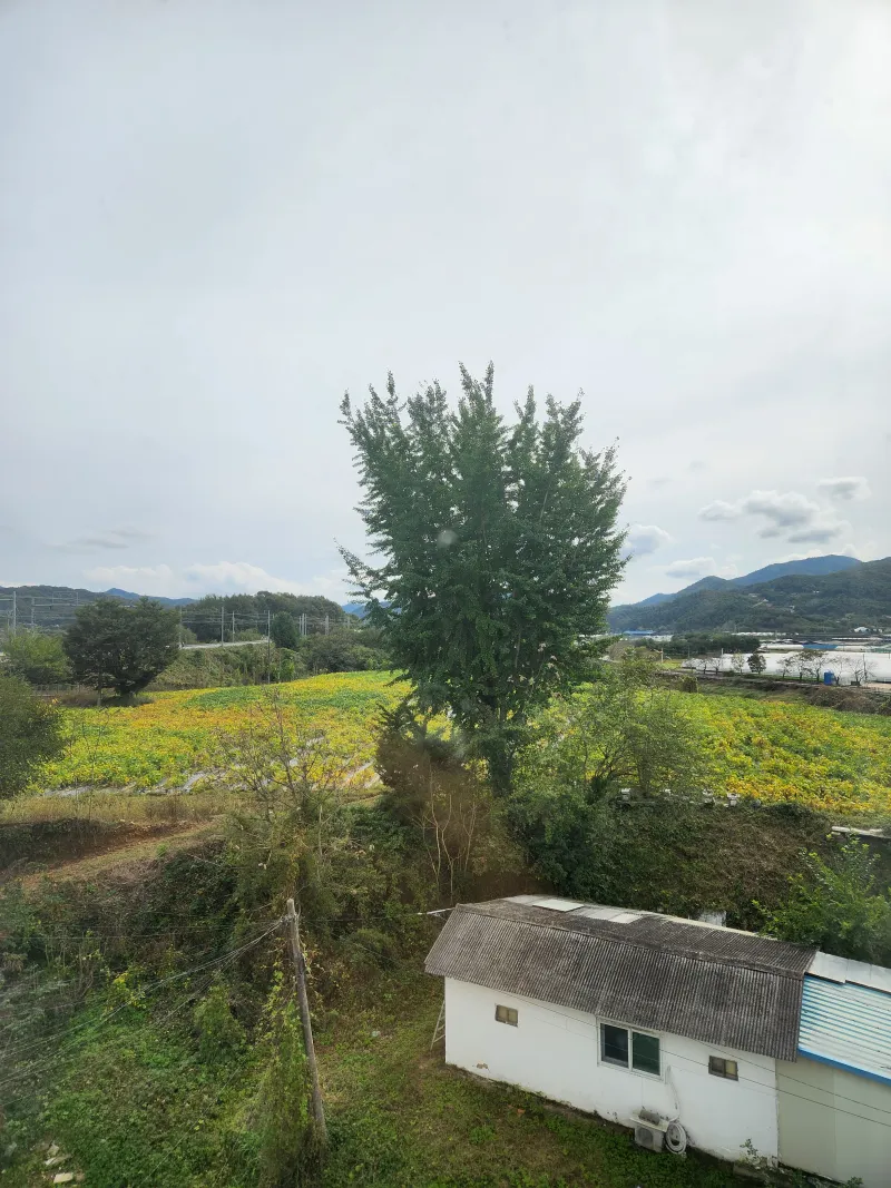 [Yangpyeong] 5-minute walk from Yangdong Station/Library, Maewol Gongbang Stay 1 Workation House 22