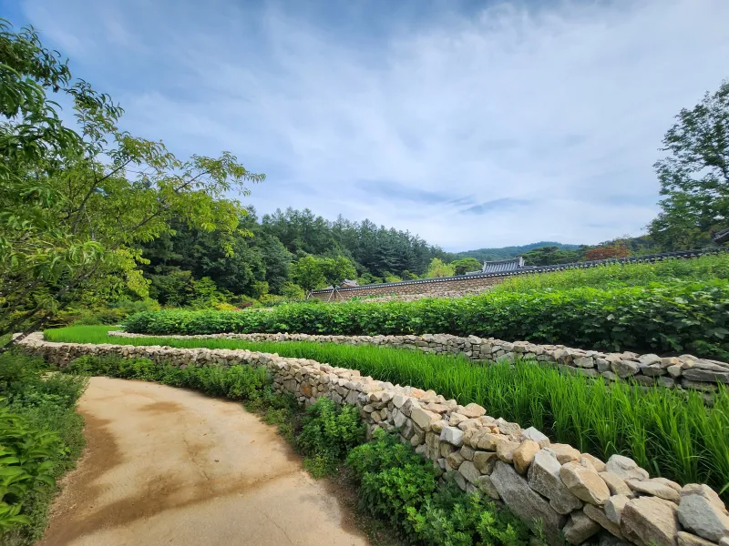 [Yangpyeong] 5-minute walk from Yangdong Station/Library, Maewol Gongbang Stay 1 Workation House 63
