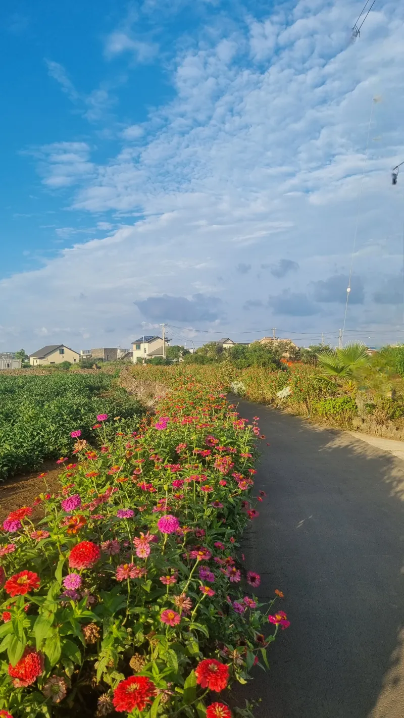 [Hangyeong, Jeju] A three-story detached house with a view of Chagwido Island and windmills. 35