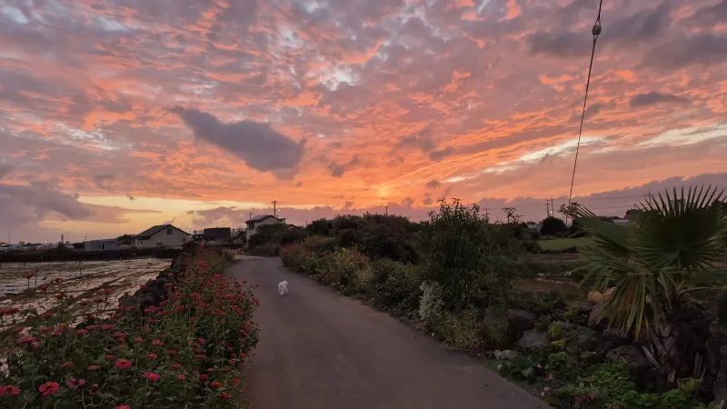 [Hangyeong, Jeju] A three-story detached house with a view of Chagwido Island and windmills. 50