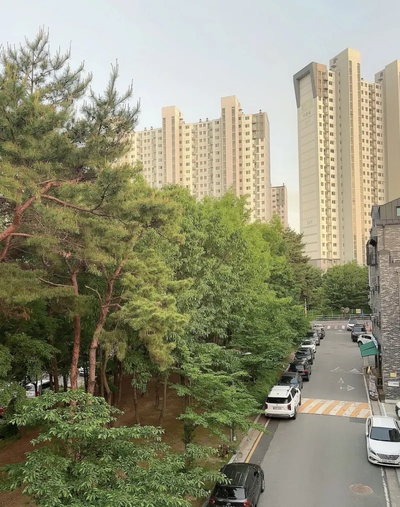 [Seo-gu, Daejeon] Fully remodeled emotional house in Gwanjeong-dong, Konkuk University 19