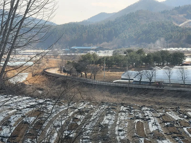 [Yangpyeong] 5-minute walk from Yangdong Station/Library, Maewol Gongbang Stay 1 Workation House 16