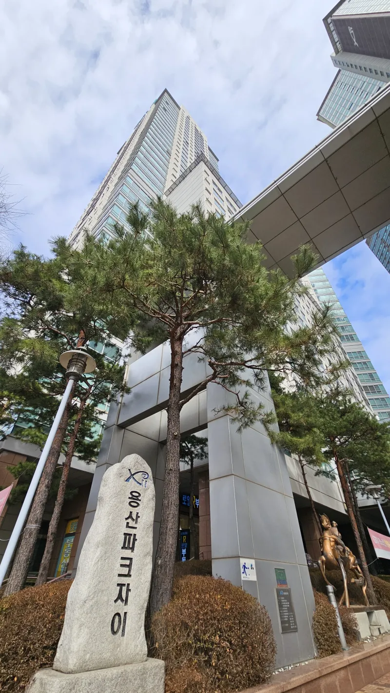[Yongsan, Seoul] Samgakji Station Skyline View 18