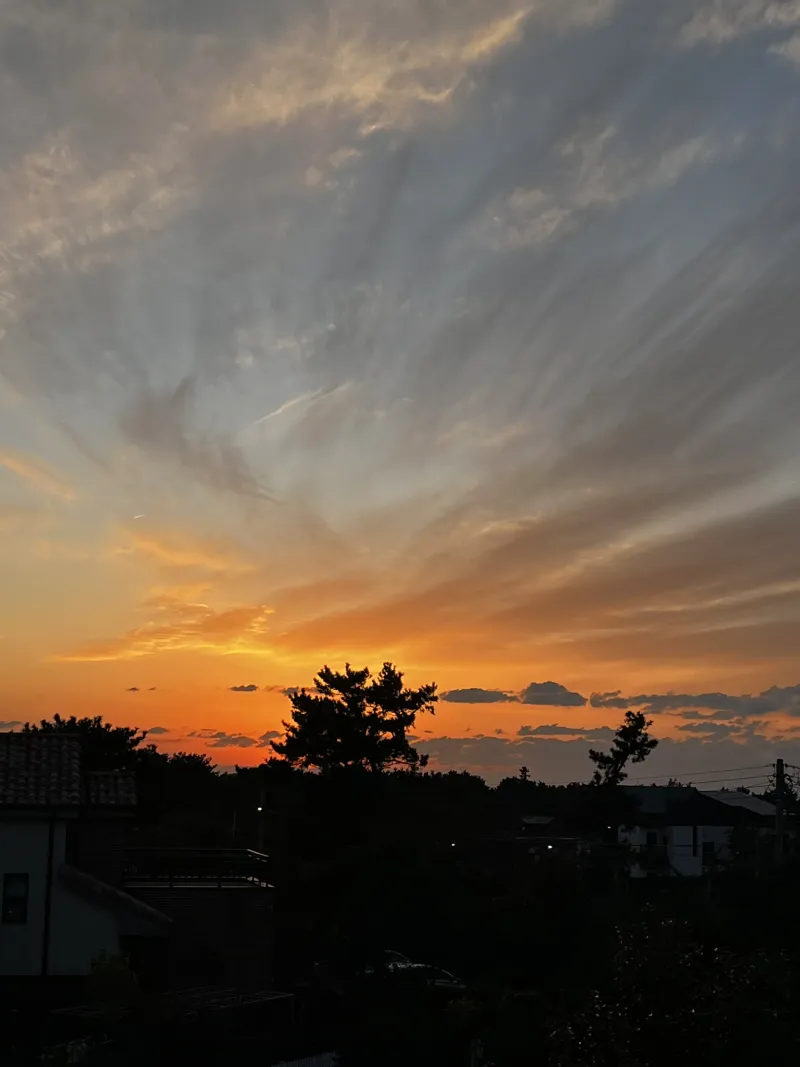 [Hallim, Jeju][Jeju Hyeopjae] Healing Pension Filled with the Scent of Pine Forest #PetFriendly (Building B, 2nd Floor / 1.5 Room) 19