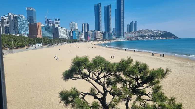 [부산 해운대] 도보 3분 풀옵션 투룸 고층 오피스텔 6