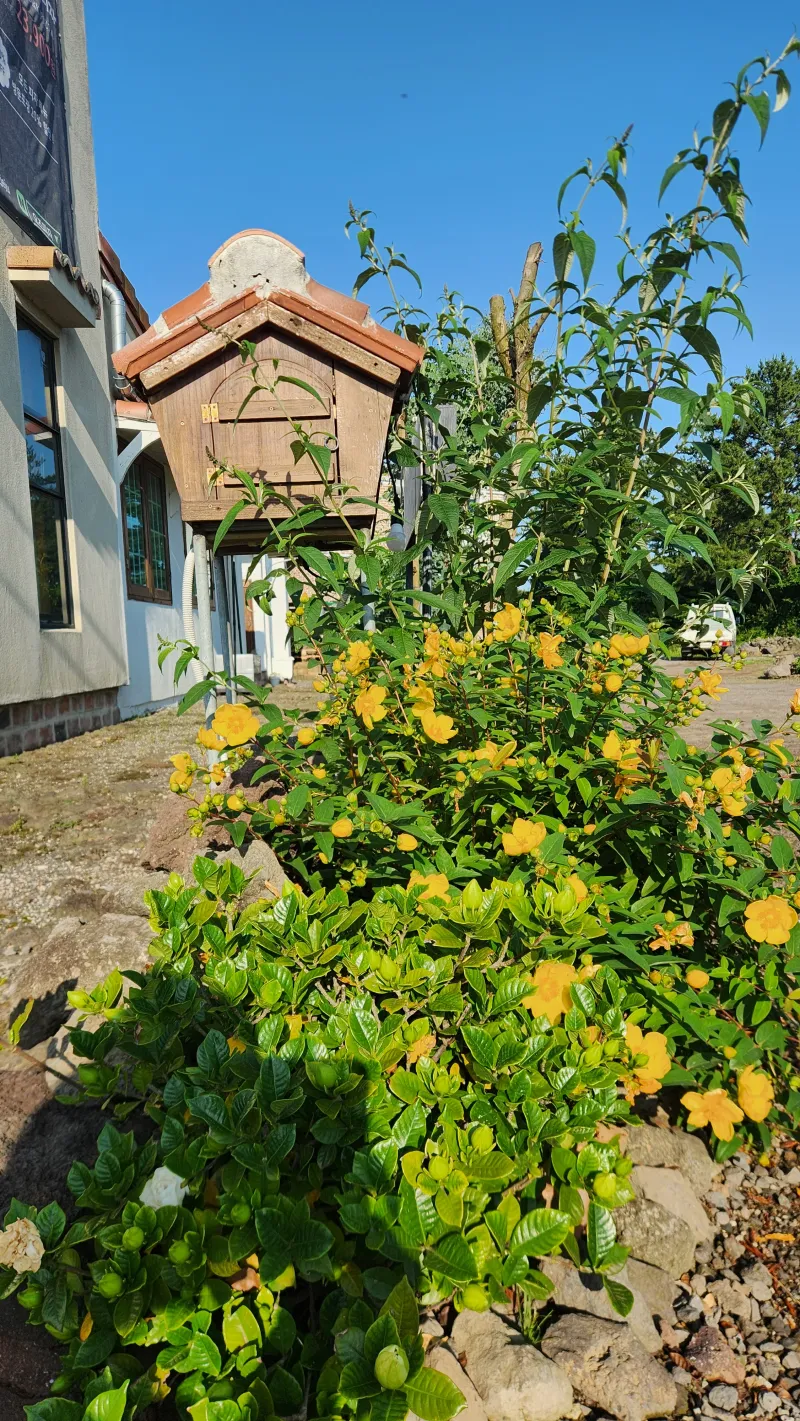 [Aewol, Jeju] Sogil Darak / A quiet detached wooden house in Sogil-ri, a pretty village in Aewol 15