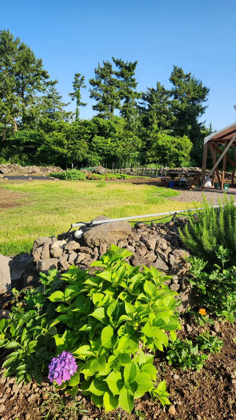[Aewol, Jeju] Sogil Darak / A quiet detached wooden house in Sogil-ri, a pretty village in Aewol 16