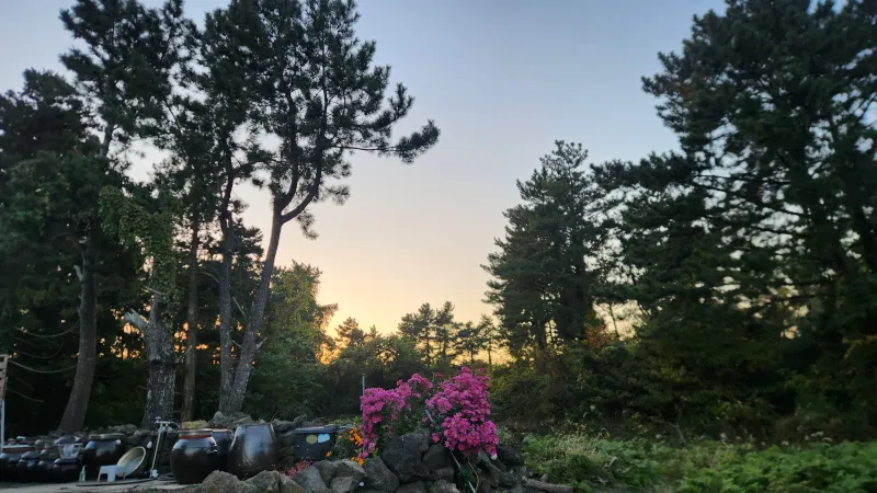 [Aewol, Jeju] Sogil Darak / A quiet detached wooden house in Sogil-ri, a pretty village in Aewol 10