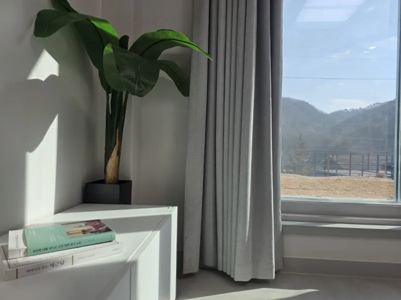 [Gapyeong][Gyeonggi Gapyeong-gun] Eobi Valley Dreamland (Red Bookstore) 9