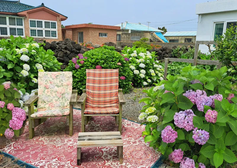 [Hangyeong, Jeju] Lowest price emotional detached house 22
