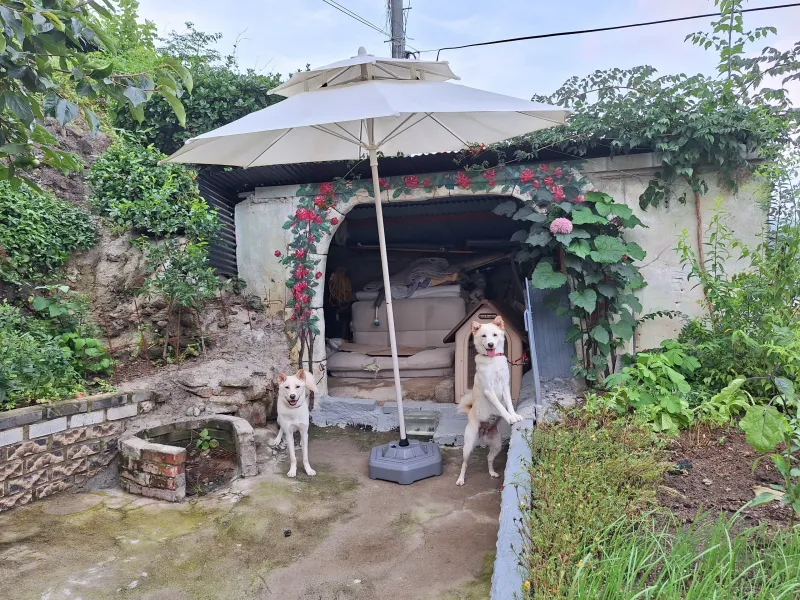 [Boseong][Boseong-gun, Jeollanam-do] A quiet and modern Haetdeul 13