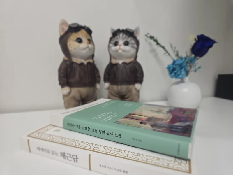 [Gapyeong][Gyeonggi Gapyeong-gun] Eobi Valley Dreamland (Red Bookstore) 5