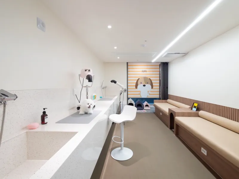[Busanjin, Busan] One-month stay near Beomil Station 13