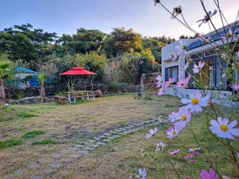 [제주 애월] 300평 대형마당 독채 #바베큐 #텃밭 ★추가할인★ 17