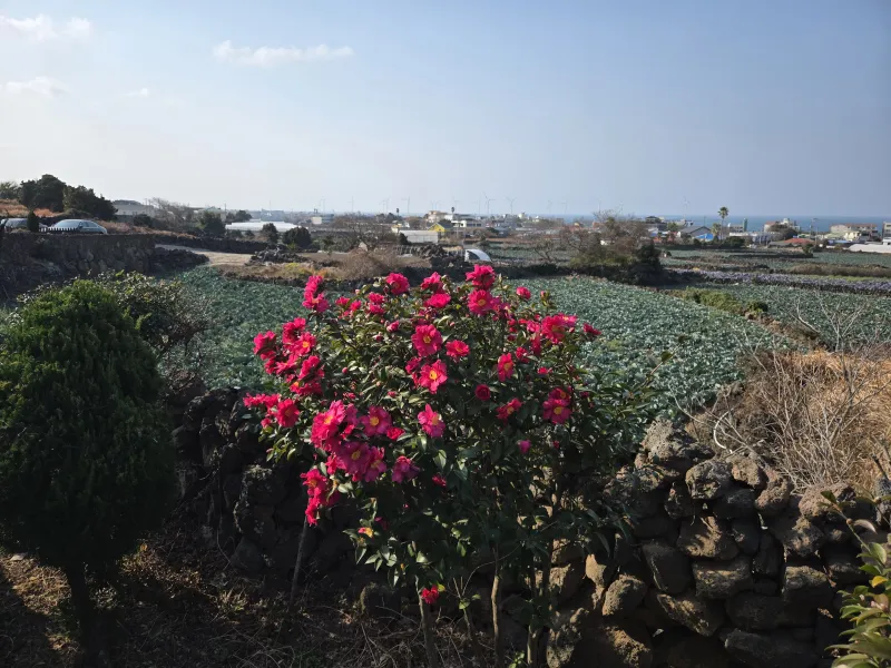 [Aewol, Jeju] Independent accommodation with a large garden and swimming pool overlooking the Gwakji Sea 36