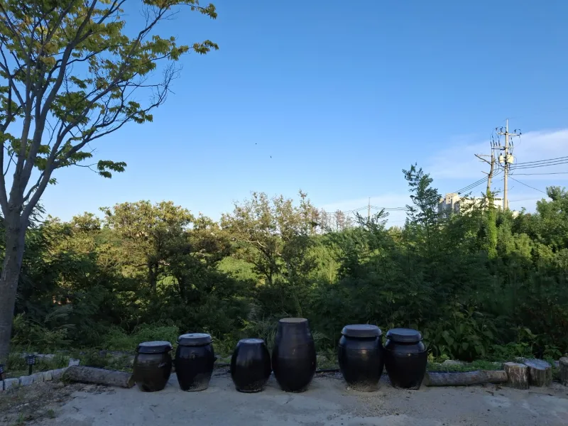 [Goseong][Goseong-gun, Gangwon-do] Detached house with a yard and mountain, sea, lake, and forest views 15