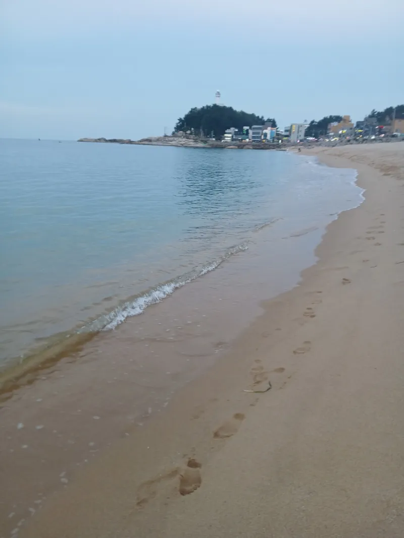 [Sokcho] Sokcho Sea 10-Second Cafe-like House 2 15