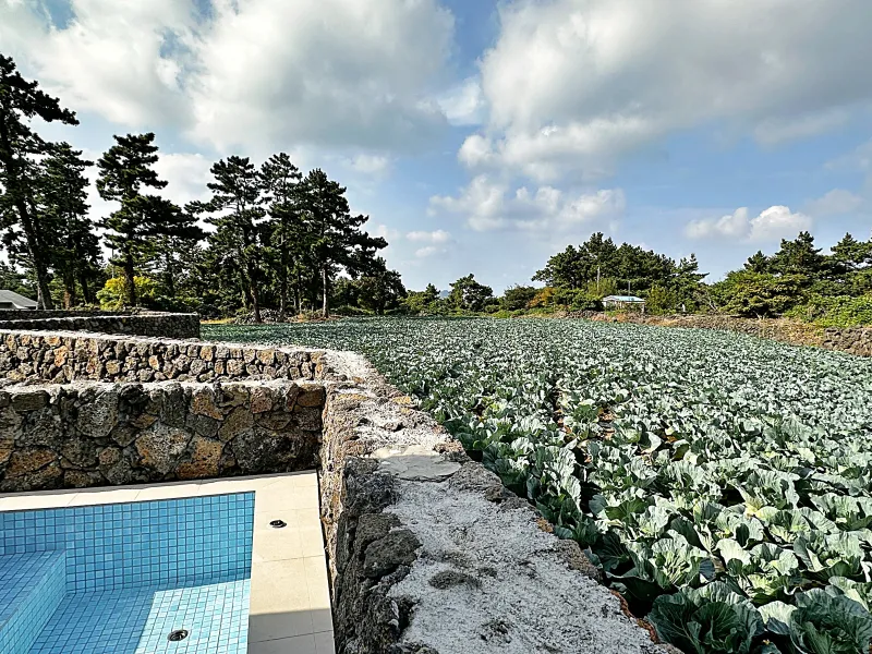 [Hallim, Jeju] Modern and Atmospheric Private House 28