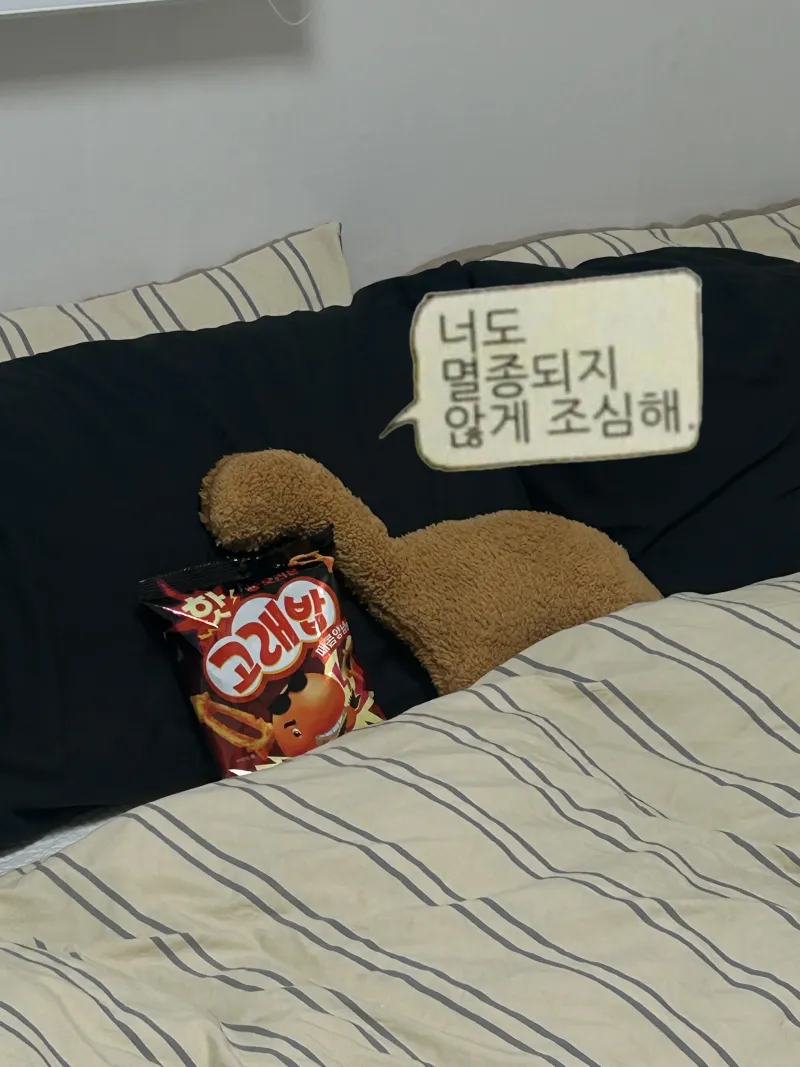[Mapo, Seoul] Hongdae / House with Red Roof and Butter-Colored Walls | Fully Furnished 6