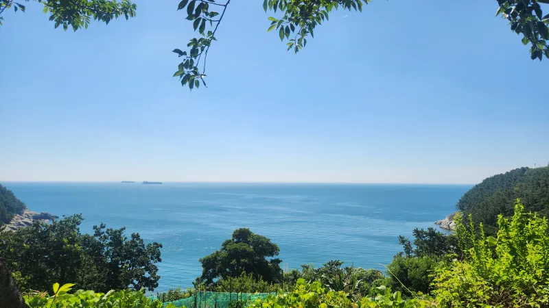 [Geoje] Neungpo / Studio with a great ocean view and fishing spot #PetFriendly 18