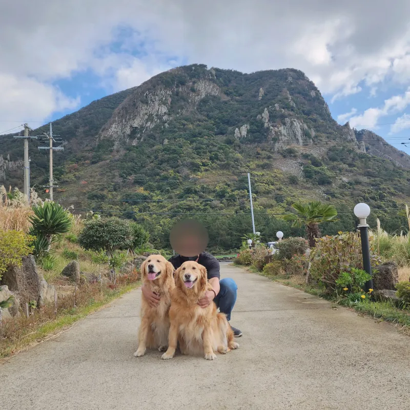 [Andeok, Seogwipo][Jeju Sagye-ri] Room 101, Duplex Pension Below Sanbangsan Mountain 10