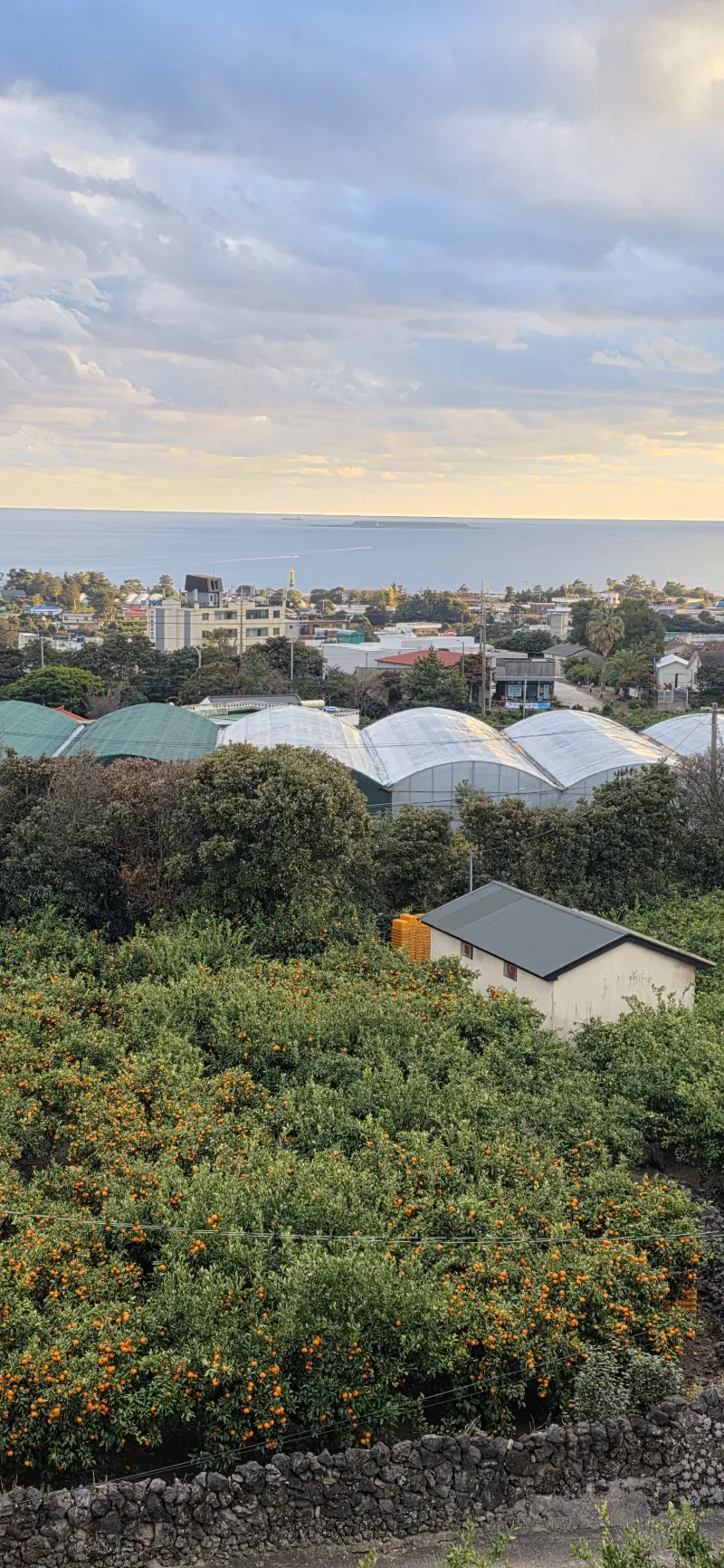 [Namwon, Seogwipo] Jeju Island Wimi Pension #15Days #1Month #1Year 46