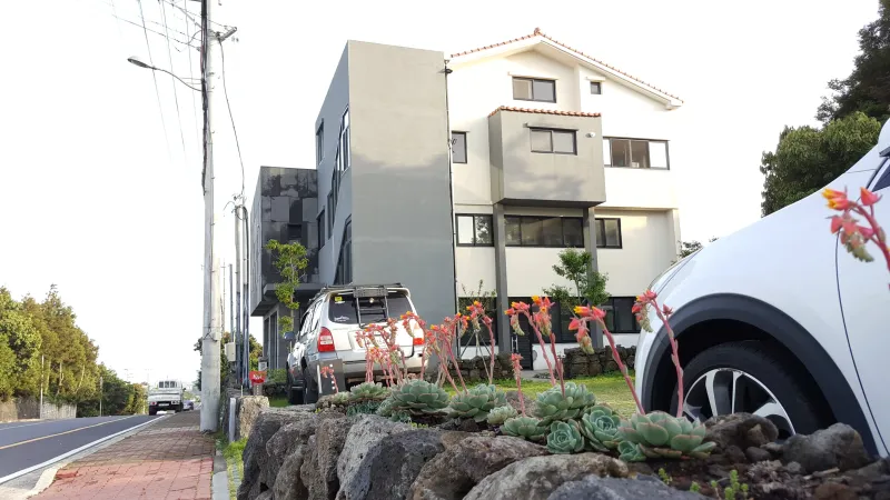[Namwon, Seogwipo] Jeju Island Wimi Pension #15Days #1Month #1Year 59
