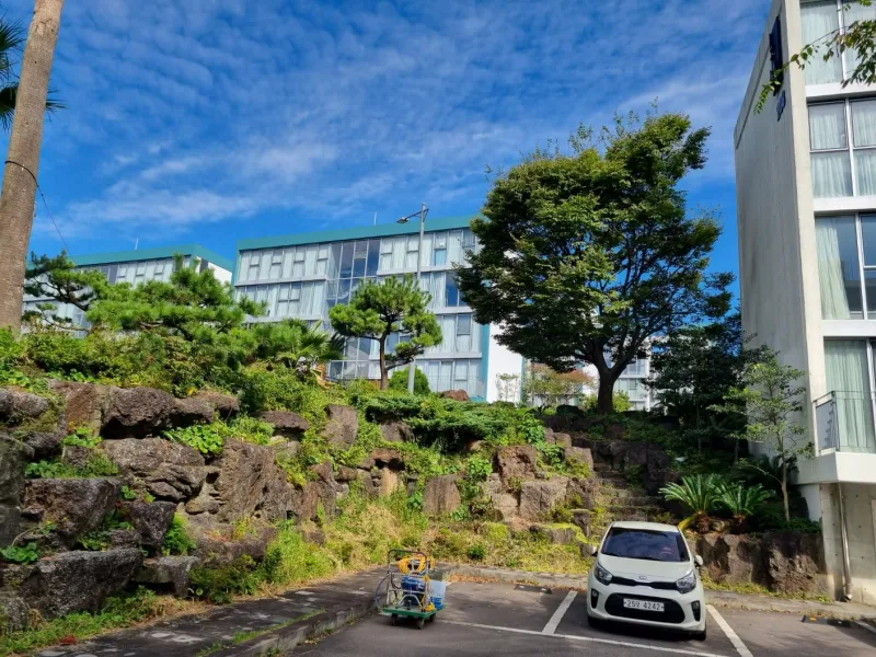 [Topyeong-dong, Seogwipo][2 weeks or more] Hotel-style Studio 2 ♤ Quiet Hallasan Mountain View, Forest Area ♤ Beautiful Garden View 62
