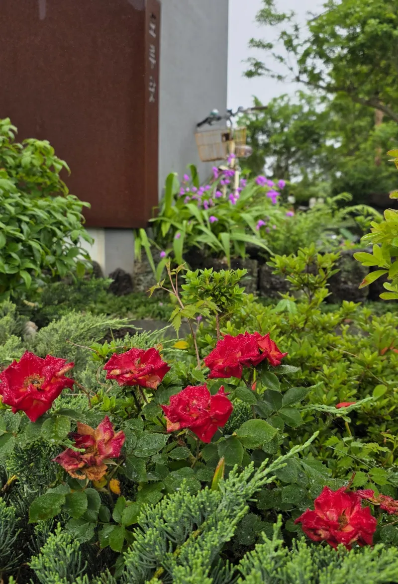 [Namwon, Seogwipo] Jeju Island Wimi Pension #15Days #1Month #1Year 49
