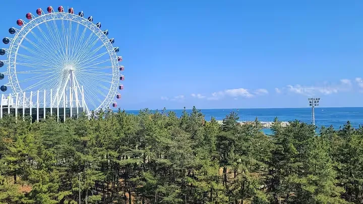 [Sokcho] Newly Built Residence AB 1.5 Room Ocean View, 1-Minute Walk from Beach B 14